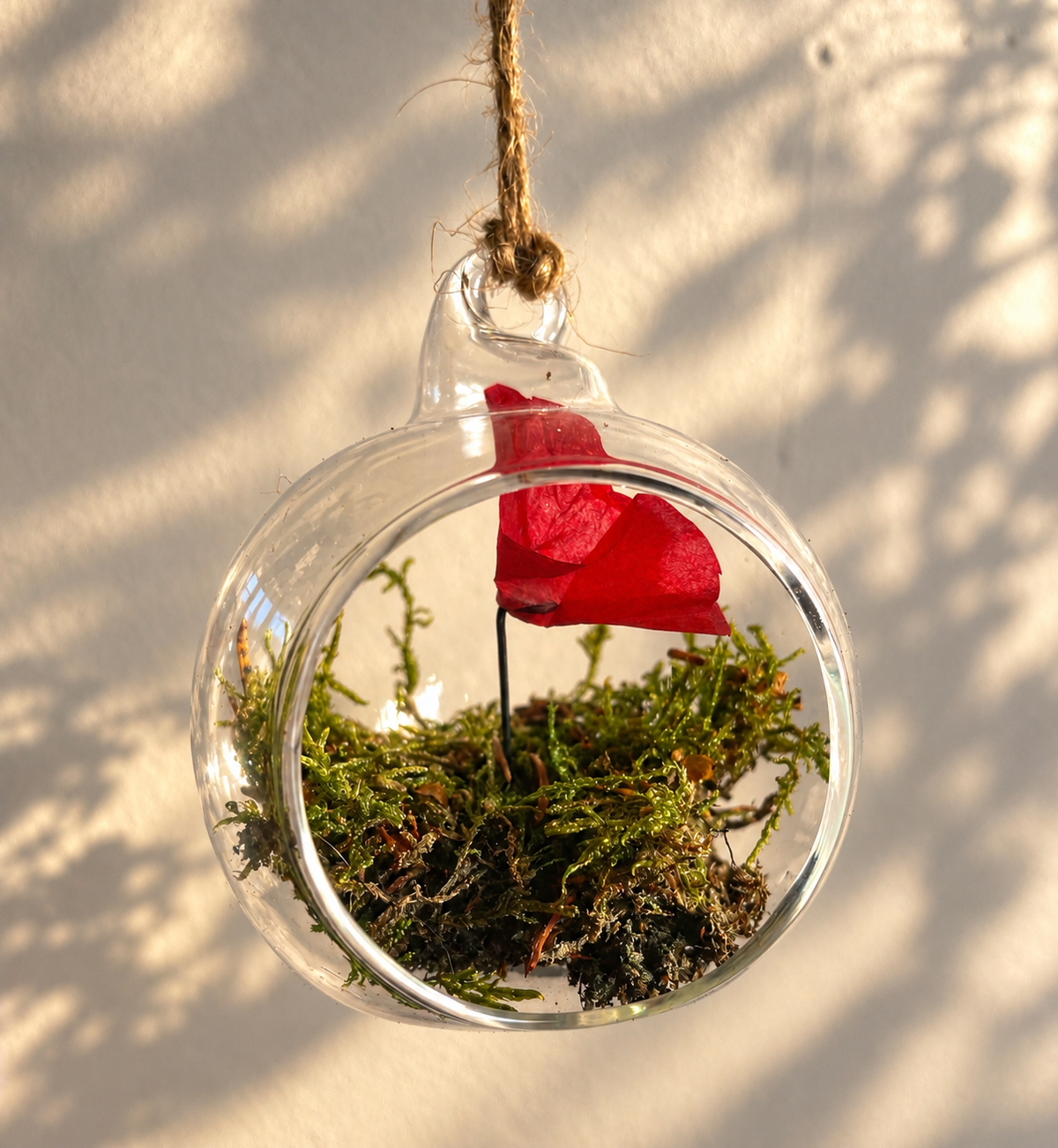 Boule de noël en verre, mousse et coquelicot — à accrocher au sapin