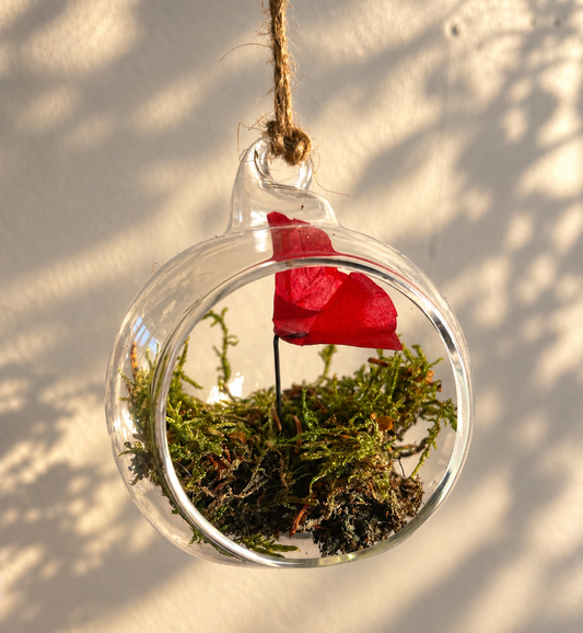 Boule de noël en verre, mousse et coquelicot — à accrocher au sapin